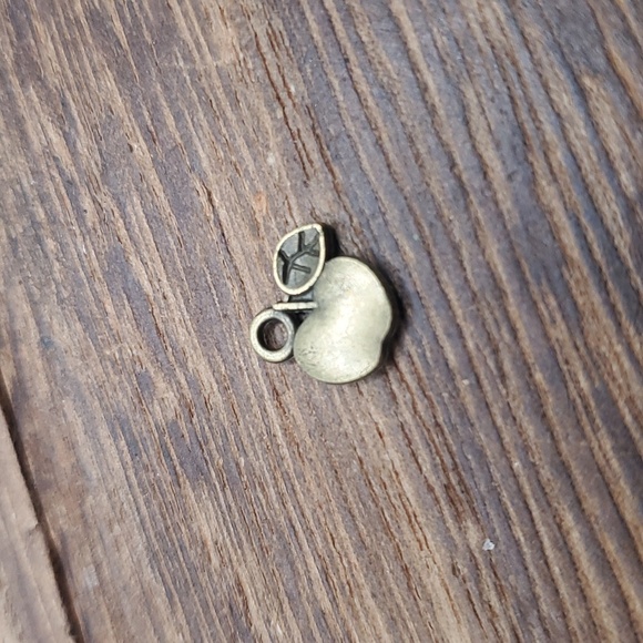 P135 apple of my eye charm - Picture 1 of 2